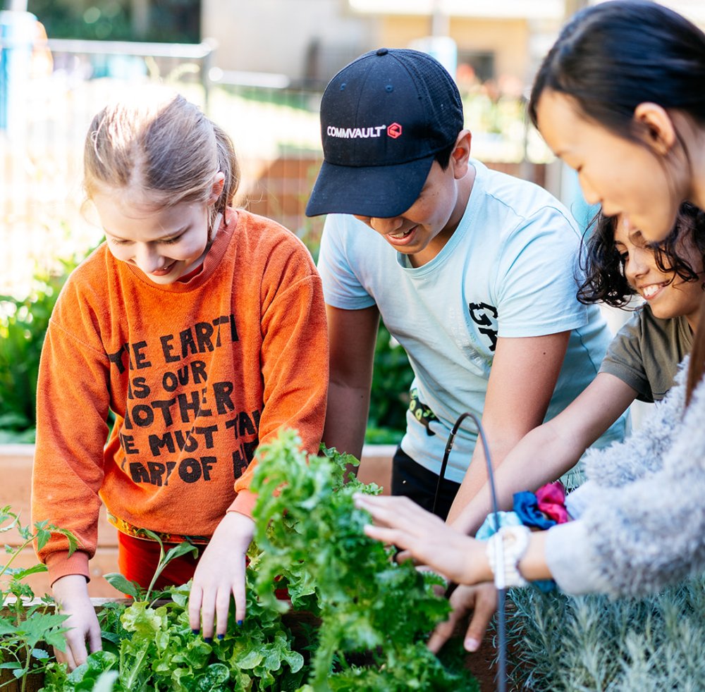 Children planting plants in a garden together and smiling